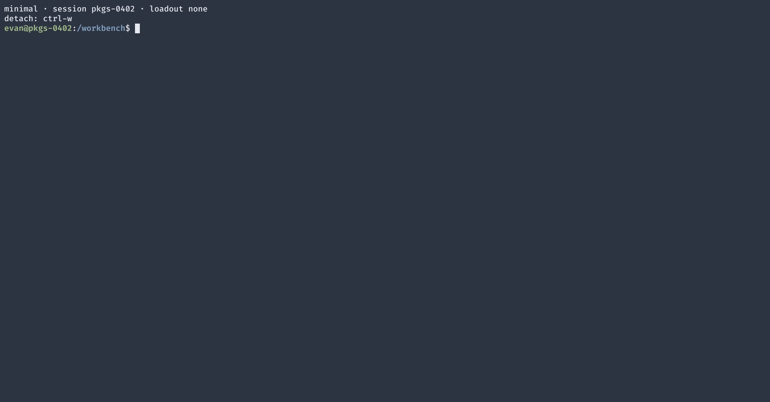 A bare bash prompt in a Minimal session started with no loadout.